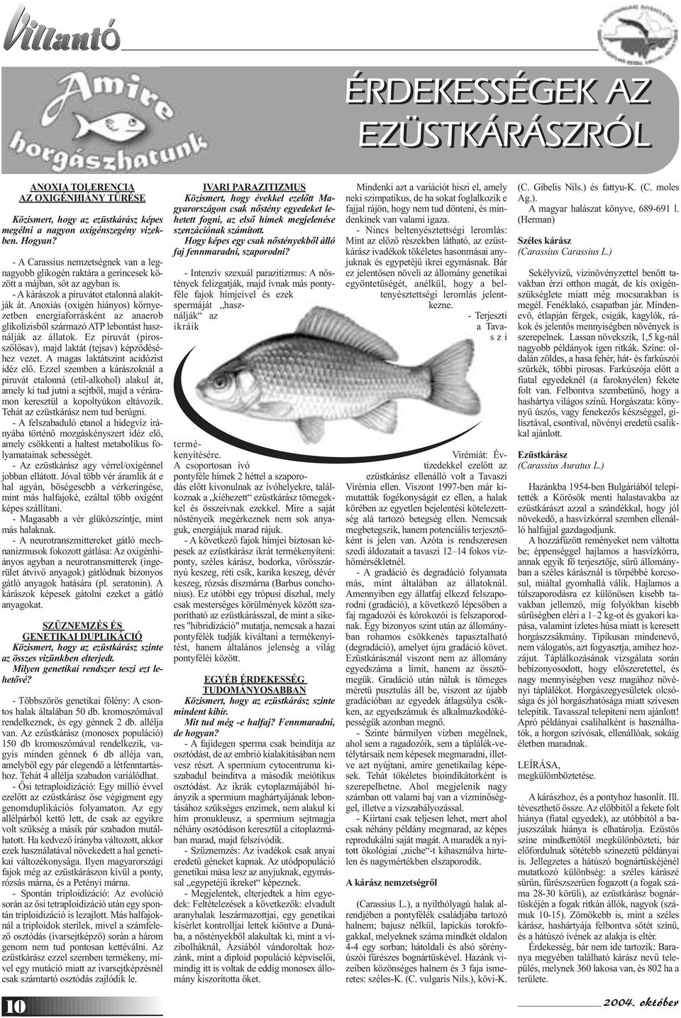 Anoxiás (oxigén hiányos) környezetben energiaforrásként az anaerob glikolízisből származó ATP lebontást használják az állatok. Ez piruvát (pirosszőlősav), majd laktát (tejsav) képződéséhez vezet.