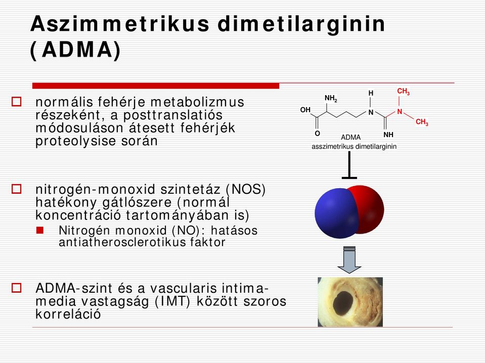 nitrogén-monoxid szintetáz (NOS) hatékony gátlószere (normál koncentráció tartományában is) Nitrogén monoxid