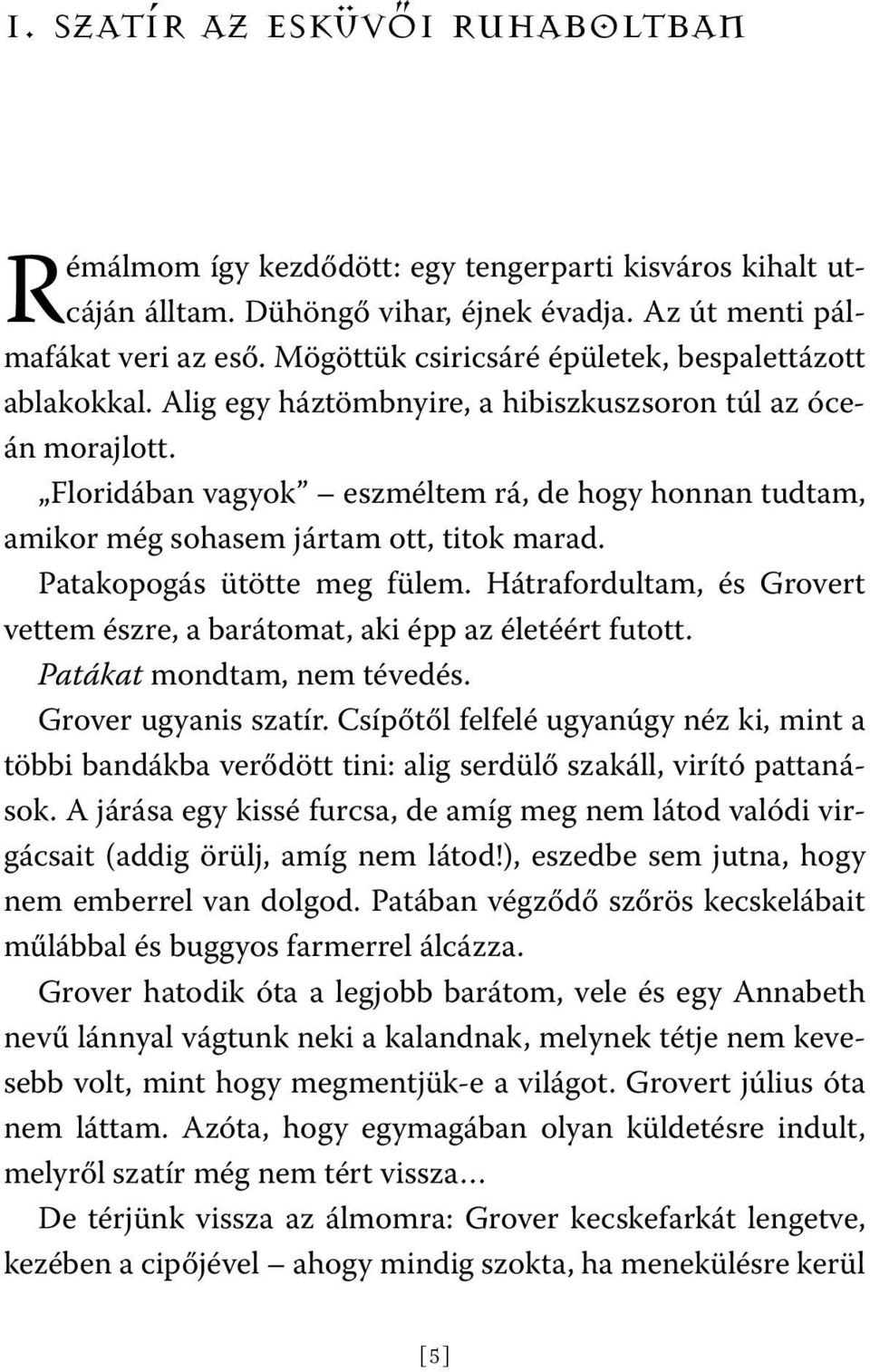 Floridában vagyok eszméltem rá, de hogy honnan tudtam, amikor még sohasem jártam ott, titok marad. Patakopogás ütötte meg fülem.