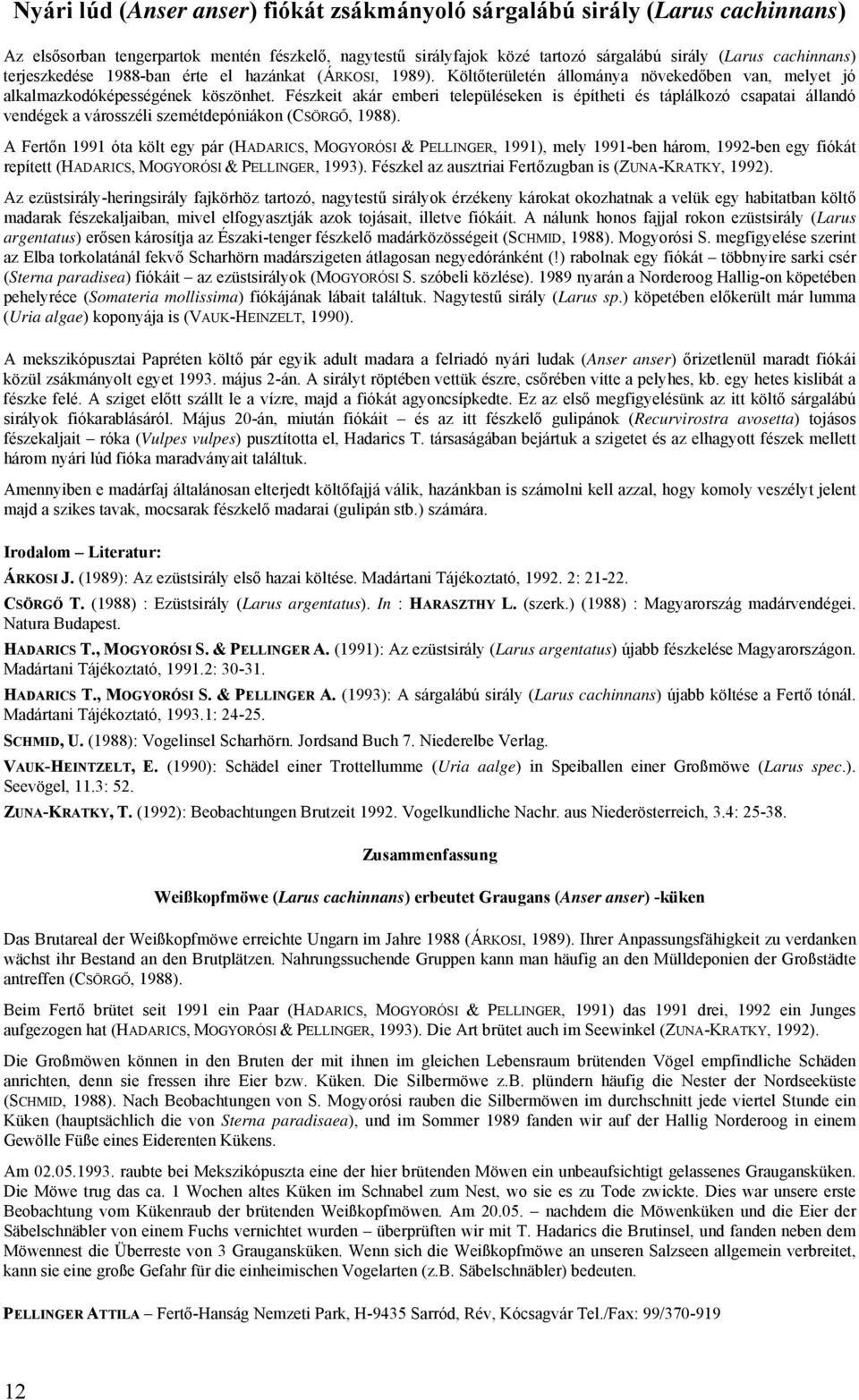 Fészkeit akár emberi településeken is építheti és táplálkozó csapatai állandó vendégek a városszéli szemétdepóniákon (CSÖRGŐ, 1988).