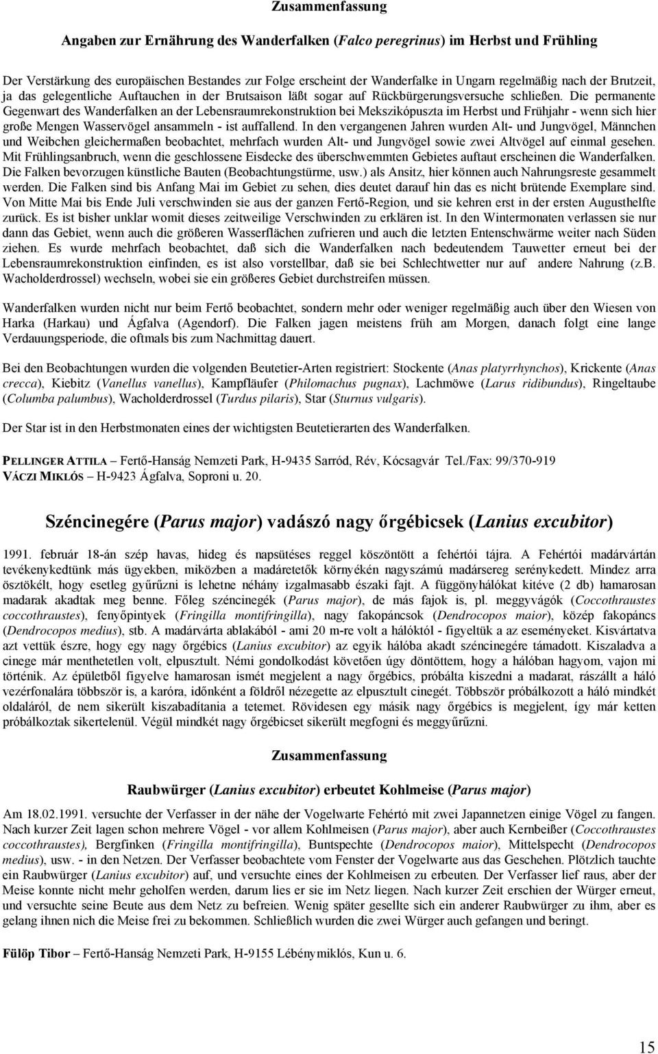 Die permanente Gegenwart des Wanderfalken an der Lebensraumrekonstruktion bei Mekszikópuszta im Herbst und Frühjahr - wenn sich hier große Mengen Wasservögel ansammeln - ist auffallend.