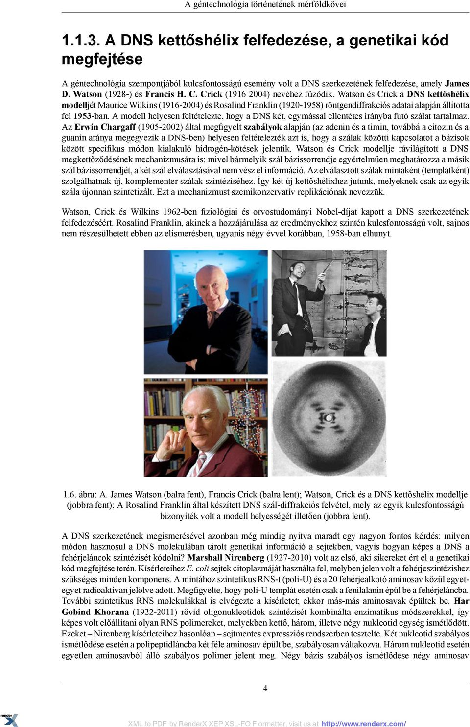 Crick (1916 2004) nevéhez fűződik. Watson és Crick a DNS kettőshélix modelljét Maurice Wilkins (1916-2004) és Rosalind Franklin (1920-1958) röntgendiffrakciós adatai alapján állította fel 1953-ban.