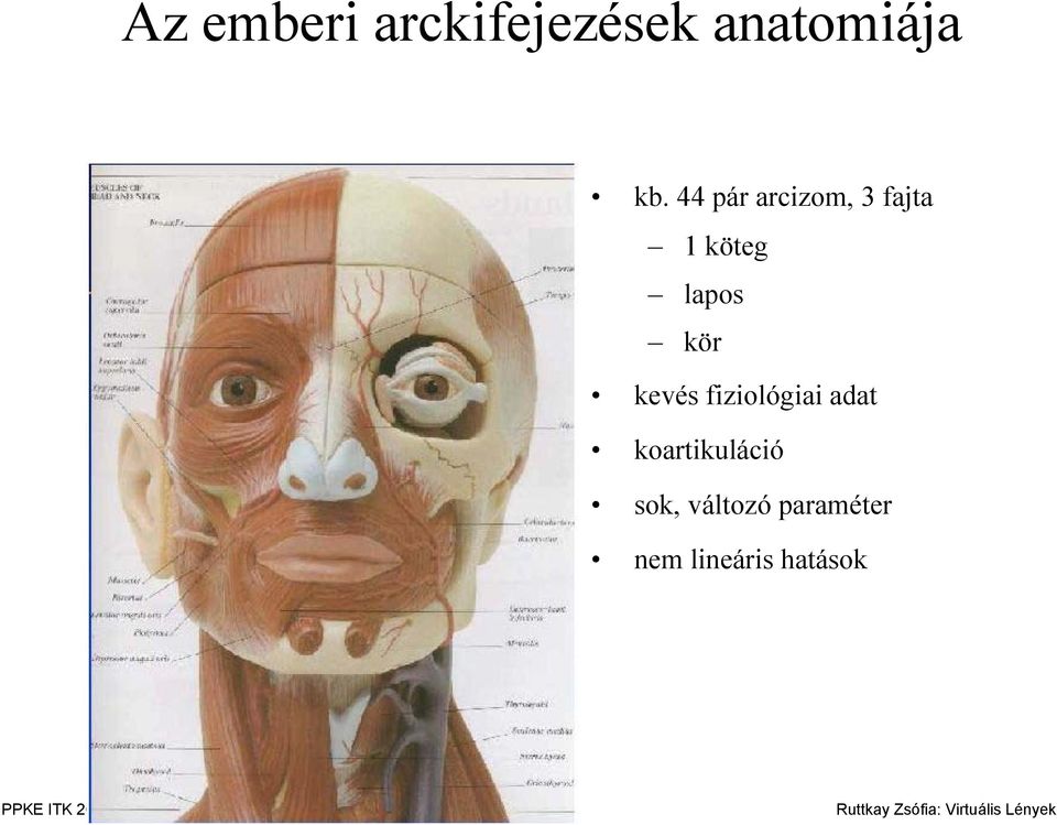 kör kevés fiziológiai adat koartikuláció