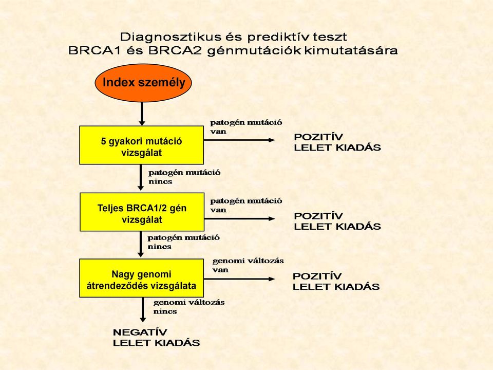 BRCA1/2 gén vizsgálat Nagy