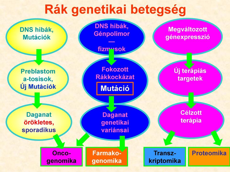 Rákkockázat Mutáció Új terápiás targetek Daganat örökletes, sporadikus Daganat