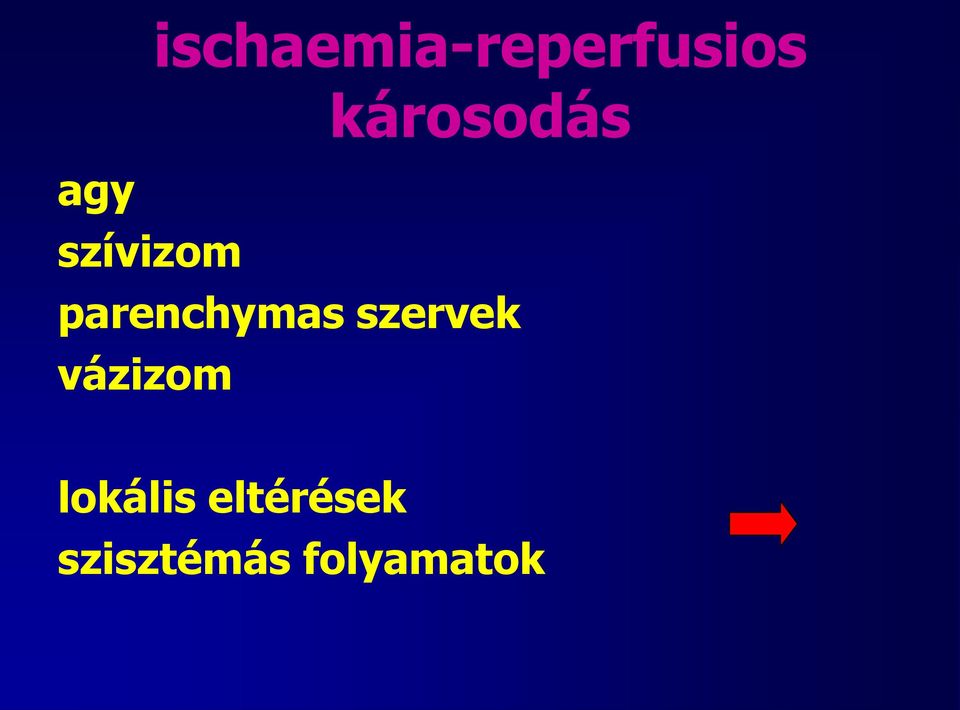 parenchymas szervek vázizom