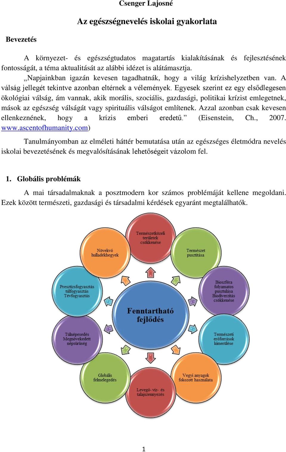 Egyesek szerint ez egy elsődlegesen ökológiai válság, ám vannak, akik morális, szociális, gazdasági, politikai krízist emlegetnek, mások az egészség válságát vagy spirituális válságot említenek.