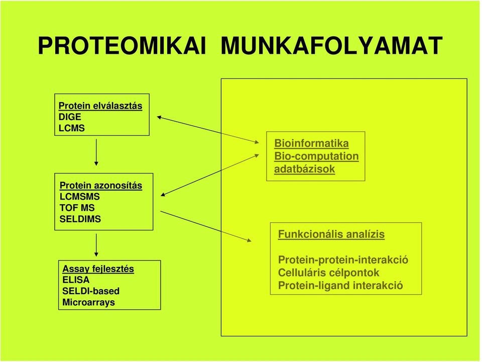 Microarrays Bioinformatika Bio-computation adatbázisok Funkcionális