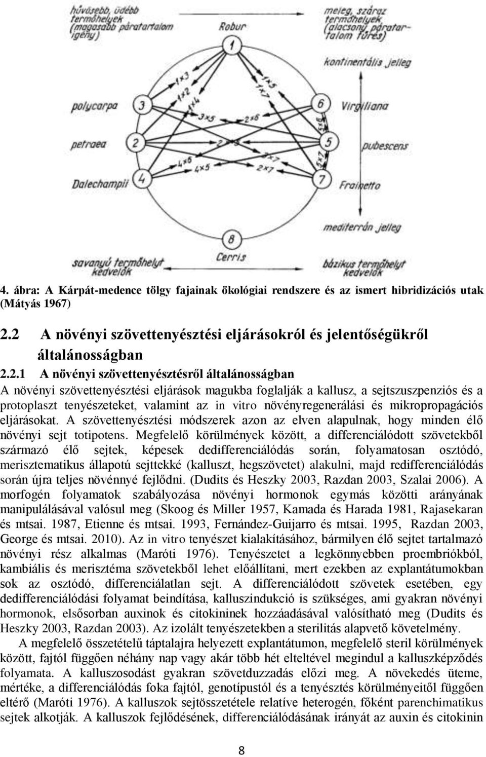 sejtszuszpenziós és a protoplaszt tenyészeteket, valamint az in vitro növényregenerálási és mikropropagációs eljárásokat.