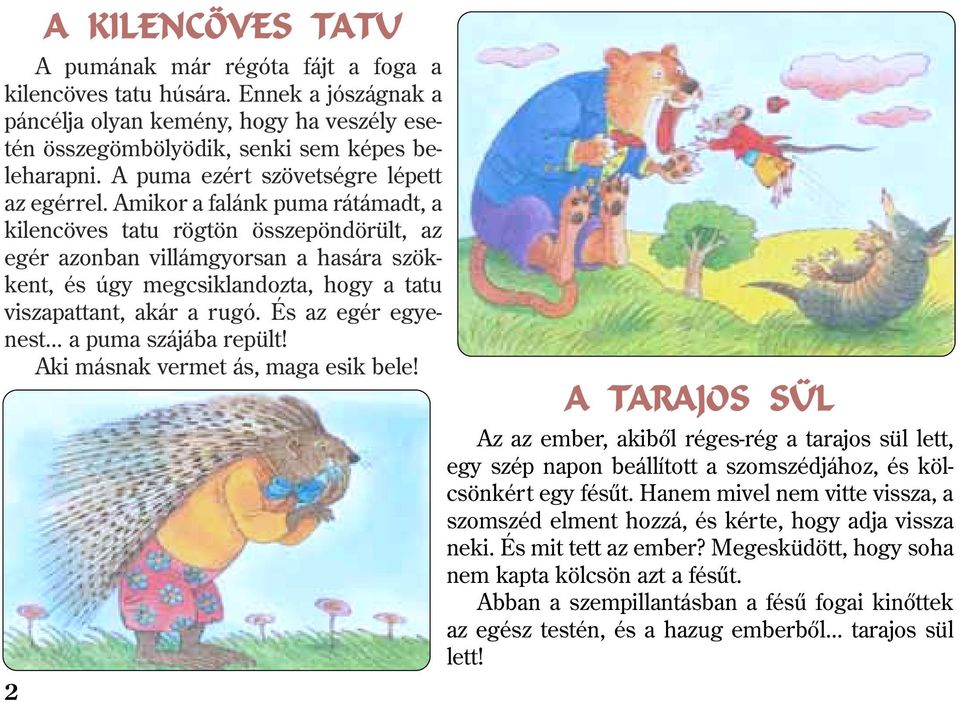 Amikor a falánk puma rátámadt, a kilencöves tatu rögtön összepöndörült, az egér azonban villámgyorsan a hasára szökkent, és úgy megcsiklandozta, hogy a tatu viszapattant, akár a rugó.