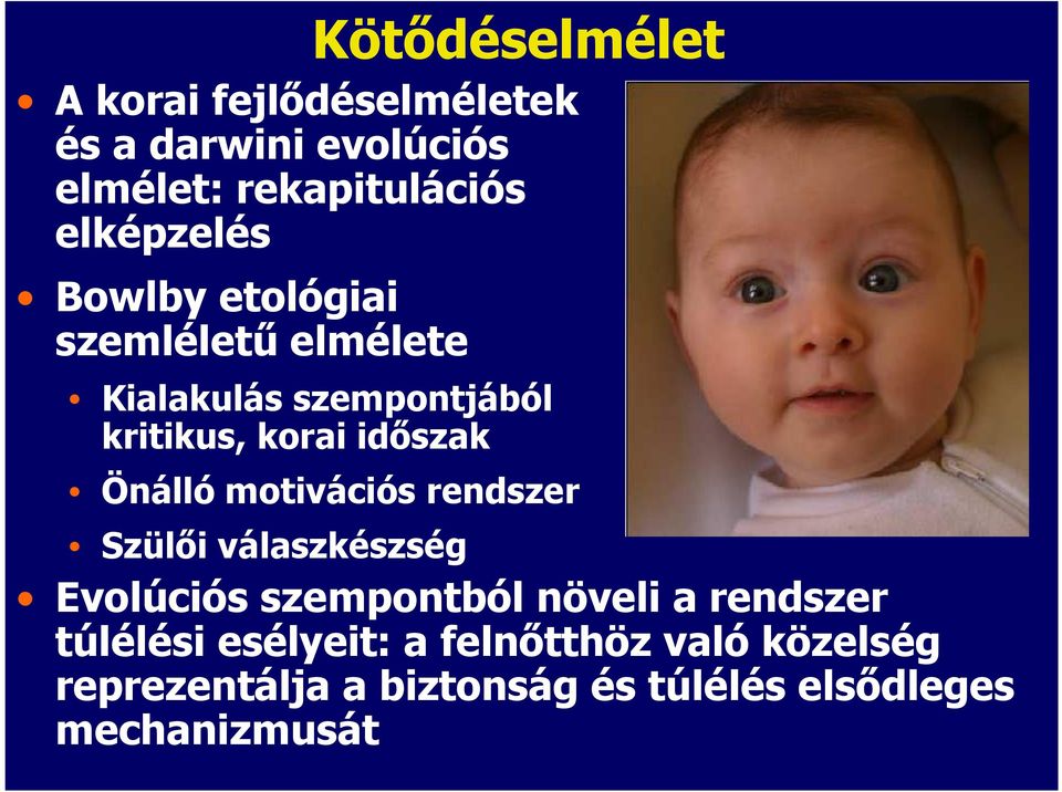 idıszak Önálló motivációs rendszer Szülıi válaszkészség Evolúciós szempontból növeli a