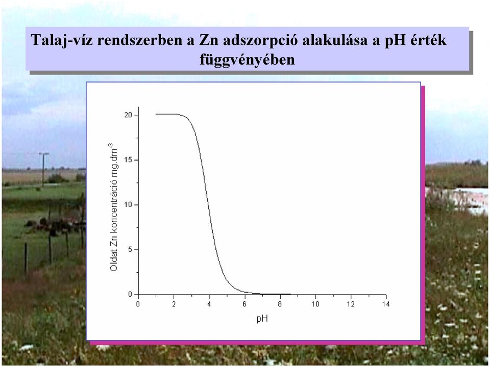 Zn adszorpció