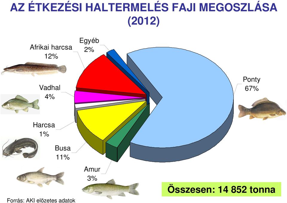 4% Ponty 67% Harcsa 1% Busa 11% Forrás: