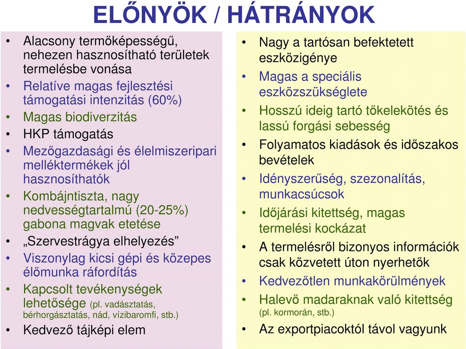 Kapcsolt tevékenységek lehetősége (pl. vadásztatás, bérhorgásztatás, nád, vízibaromfi, stb.