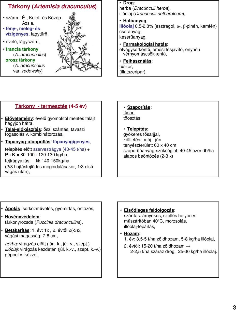 vérnyomáscsökkentő, fűszer, (illatszeripar). Tárkony - termesztés (4-5 év) Elővetemény: évelő gyomoktól mentes talajt hagyjon hátra, Talaj-előkészítés: őszi szántás, tavaszi fogasolás v.