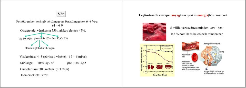 Víz 90-9% potein 8-10% Na, K, Ca 1% Legfontosabb szeepe: anyagtanszpot és enegia(hő)tanszpot 3 5 millió