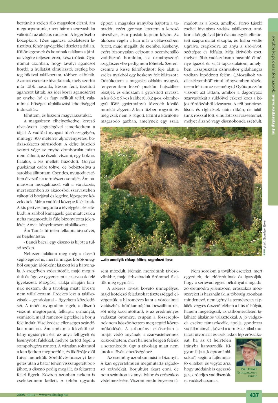 Gyanúmat azonban, hogy tavalyi agancsot hordó, a hullatást elmulasztó, esetleg beteg bikával találkoztam, többen cáfolták.