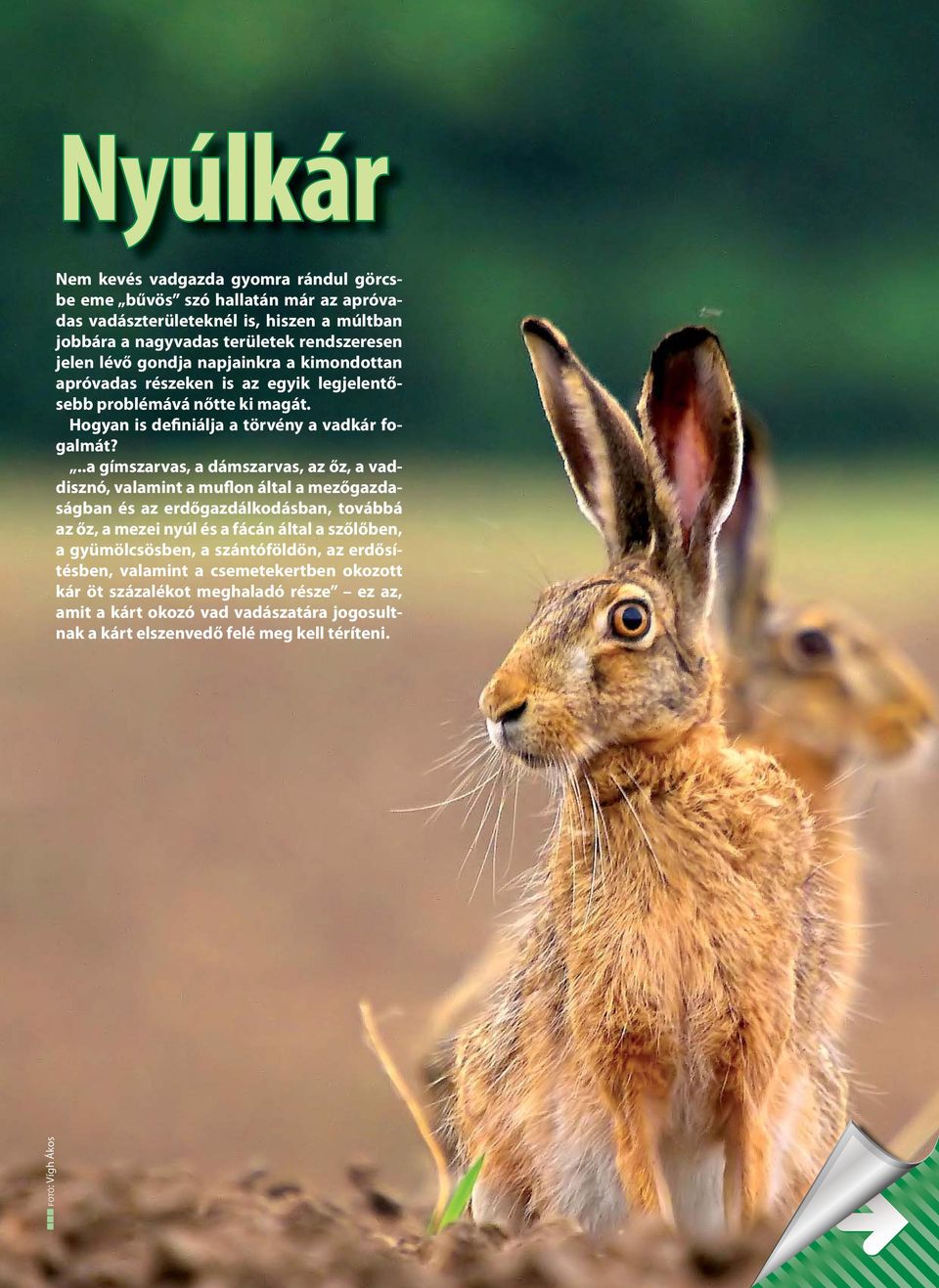 ..a gímszarvas, a dámszarvas, az őz, a vaddisznó, valamint a muflon által a mezőgazdaságban és az erdőgazdálkodásban, továbbá az őz, a mezei nyúl és a fácán által a szőlőben, a gyümölcsösben, a