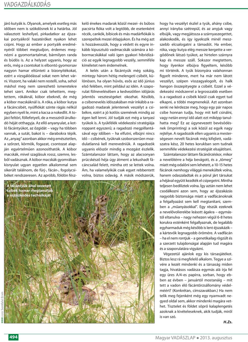 Hogy az ember a portyáik eredményéről többet megtudjon, érdemes megnézni a gyomortartalmat, bármilyen randa és büdös is.