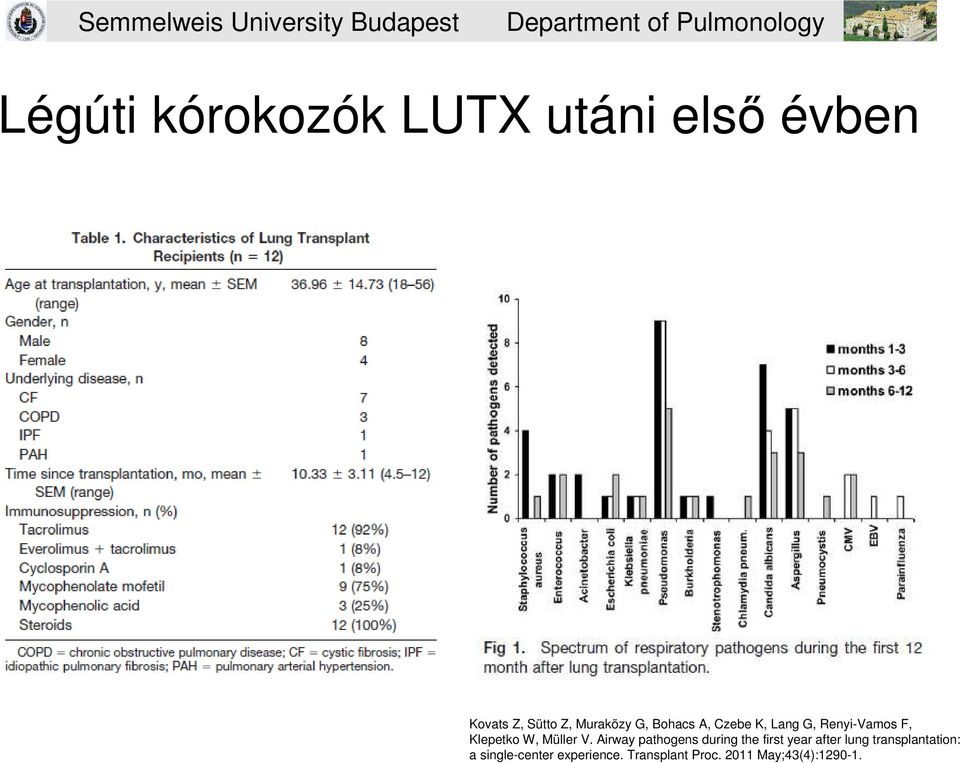 Airway pathogens during the first year after lung transplantation: