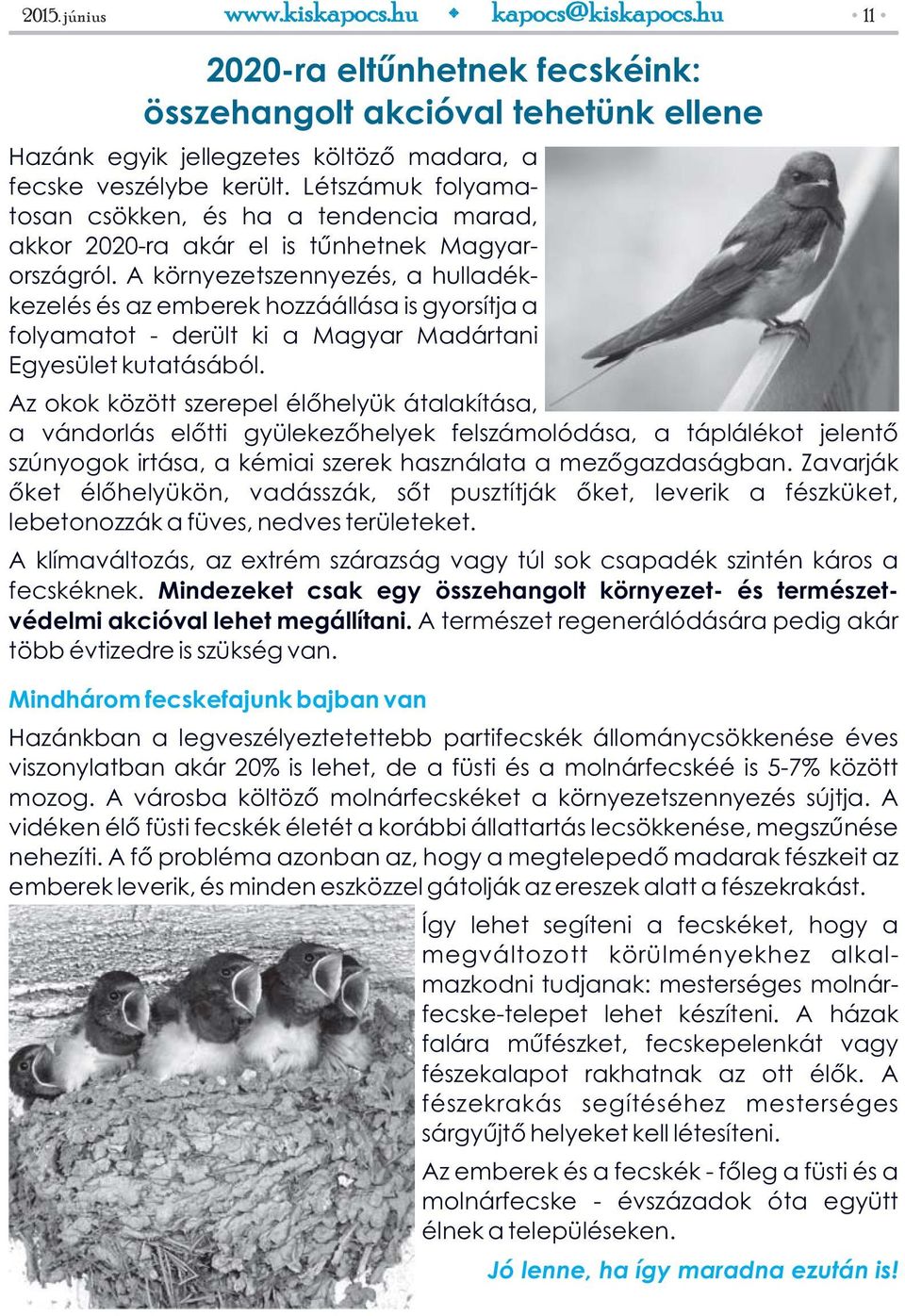 A környezetszennyezés, a hulladékkezelés és az emberek hozzáállása is gyorsítja a folyamatot - derült ki a Magyar Madártani Egyesület kutatásából.