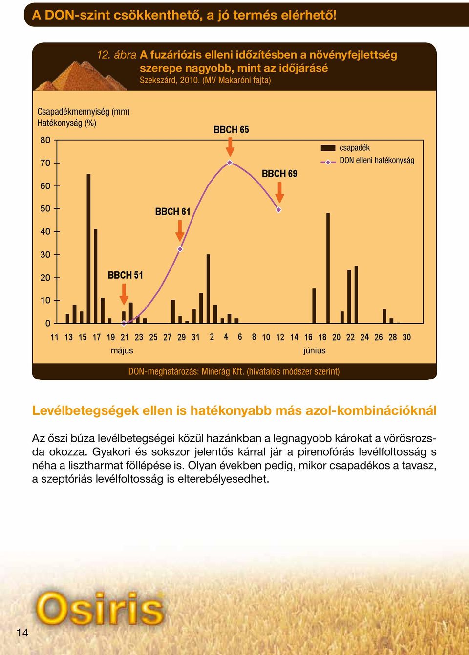 (hivatalos módszer szerint) Levélbetegségek ellen is hatékonyabb más azol-kombinációknál Az őszi búza levélbetegségei közül hazánkban a legnagyobb károkat a vörösrozsda