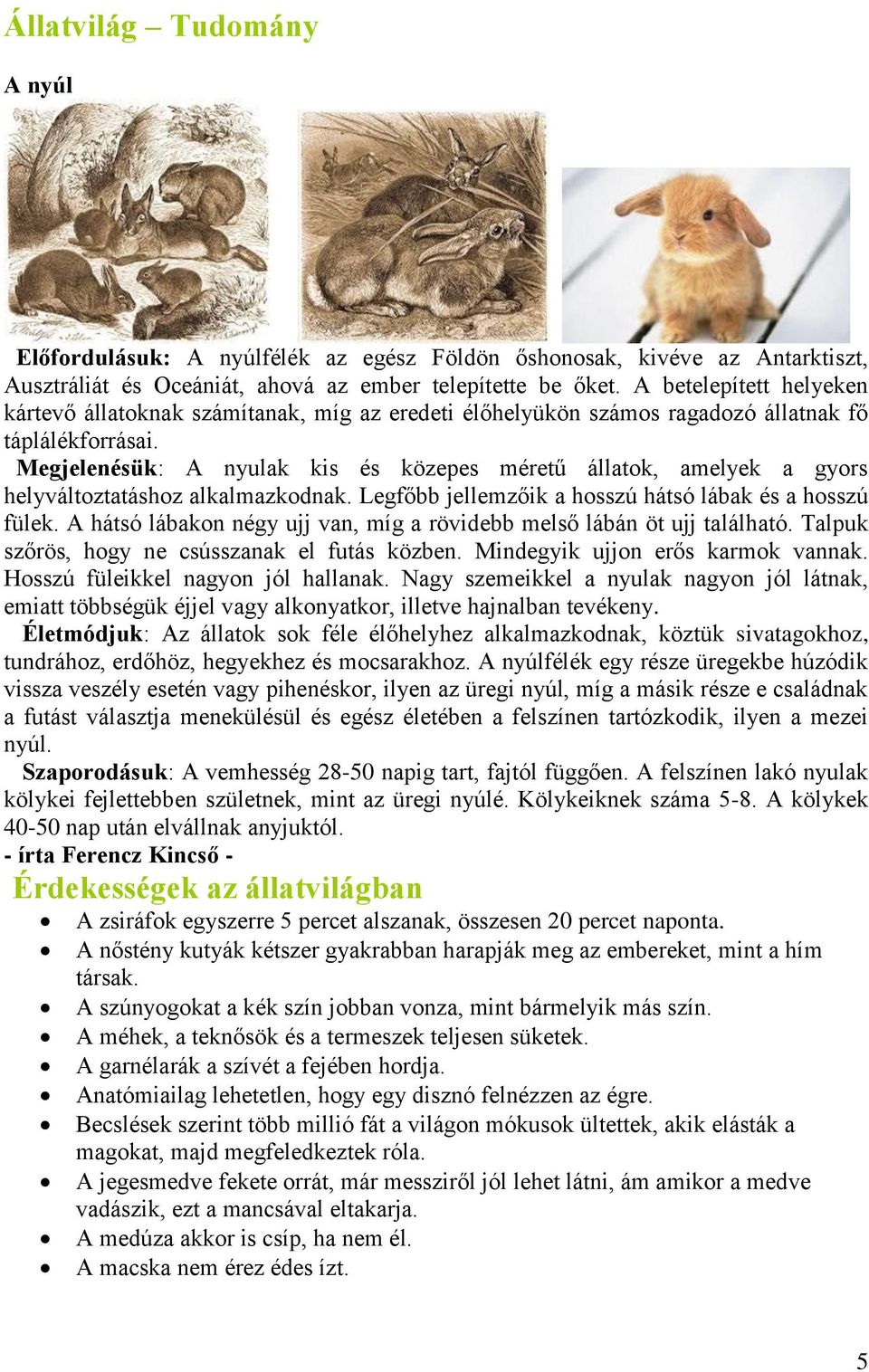 Megjelenésük: A nyulak kis és közepes méretű állatok, amelyek a gyors helyváltoztatáshoz alkalmazkodnak. Legfőbb jellemzőik a hosszú hátsó lábak és a hosszú fülek.