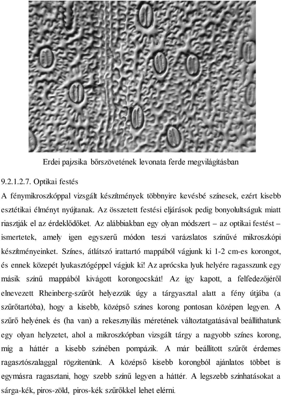 Az alábbiakban egy olyan módszert az optikai festést ismertetek, amely igen egyszerű módon teszi varázslatos színűvé mikroszkópi készítményeinket.