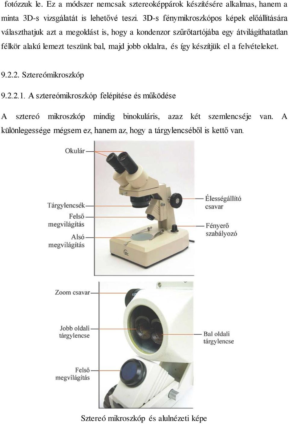 9. MUNKA A BIOLÓGIAI LABORATÓRIUMBAN 9.1. Élő anyag biztosítása a  kísérletekhez - PDF Ingyenes letöltés