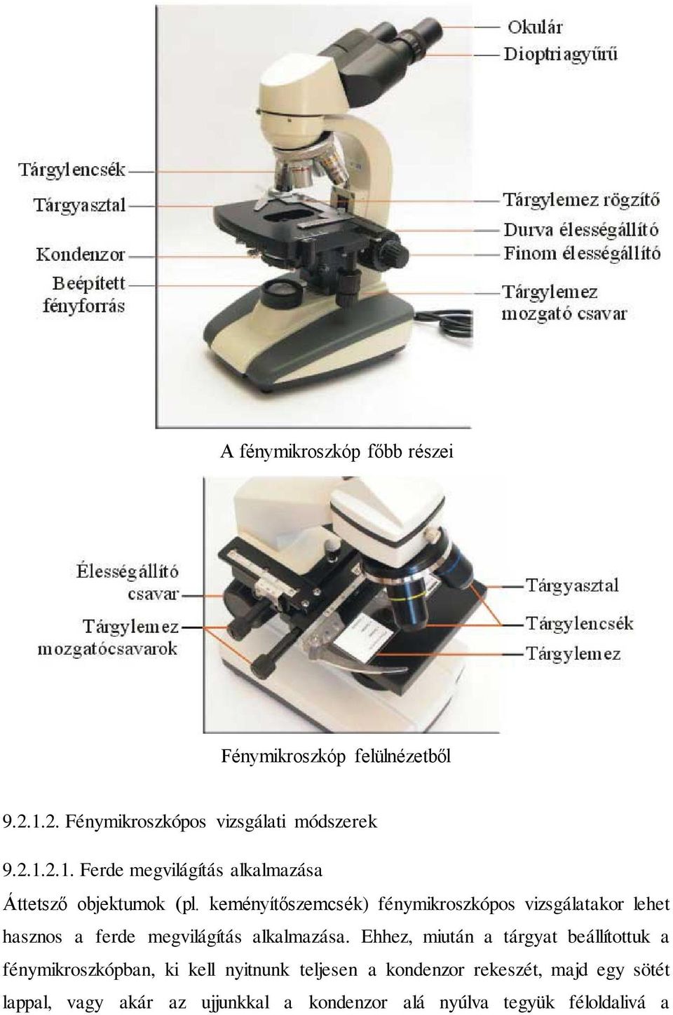 9. MUNKA A BIOLÓGIAI LABORATÓRIUMBAN 9.1. Élő anyag biztosítása a  kísérletekhez - PDF Ingyenes letöltés