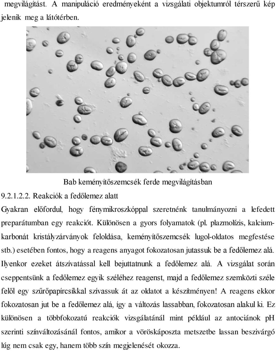 plazmolízis, kalciumkarbonát kristályzárványok feloldása, keményítőszemcsék lugol-oldatos megfestése stb.) esetében fontos, hogy a reagens anyagot fokozatosan jutassuk be a fedőlemez alá.