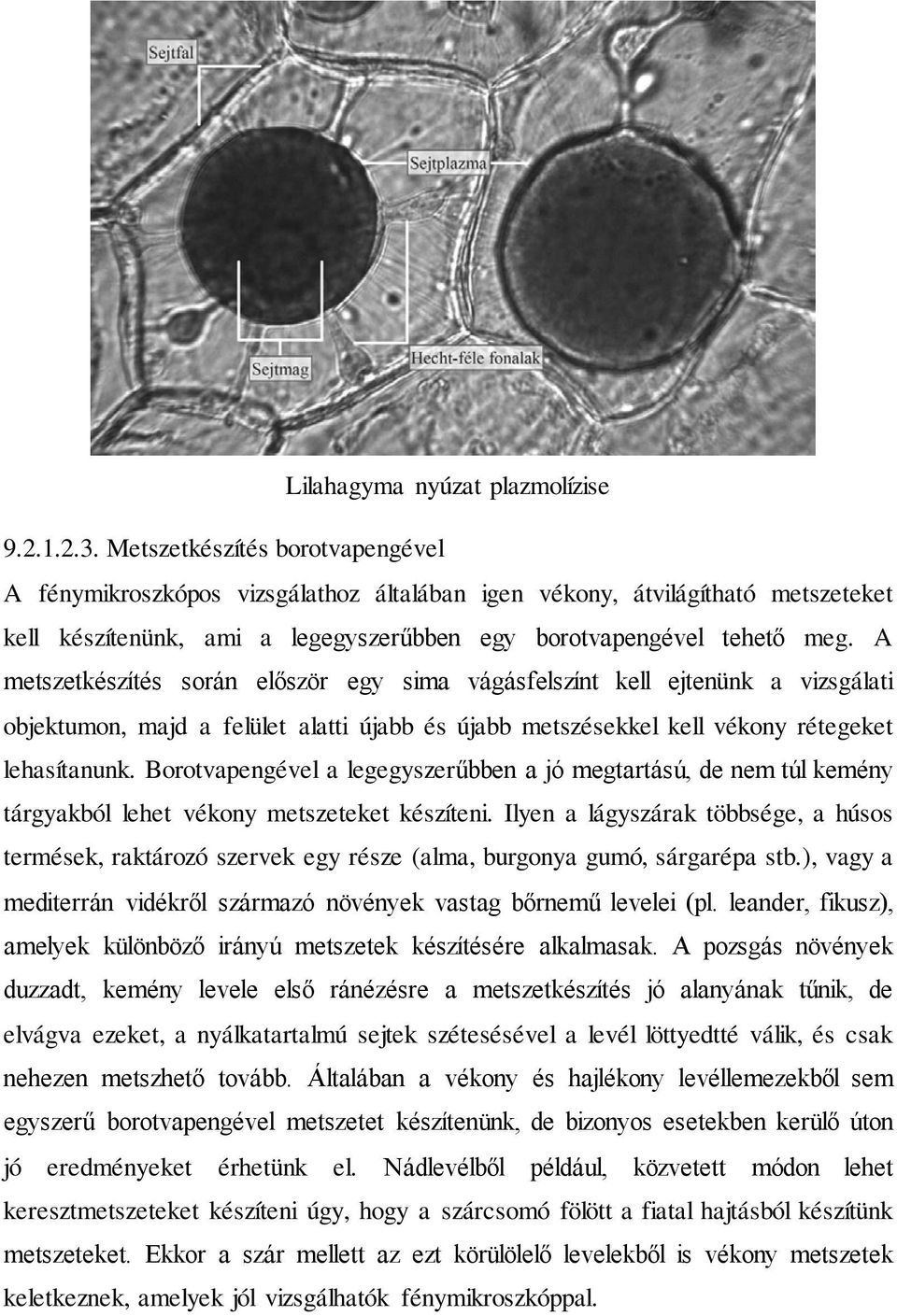 A metszetkészítés során először egy sima vágásfelszínt kell ejtenünk a vizsgálati objektumon, majd a felület alatti újabb és újabb metszésekkel kell vékony rétegeket lehasítanunk.