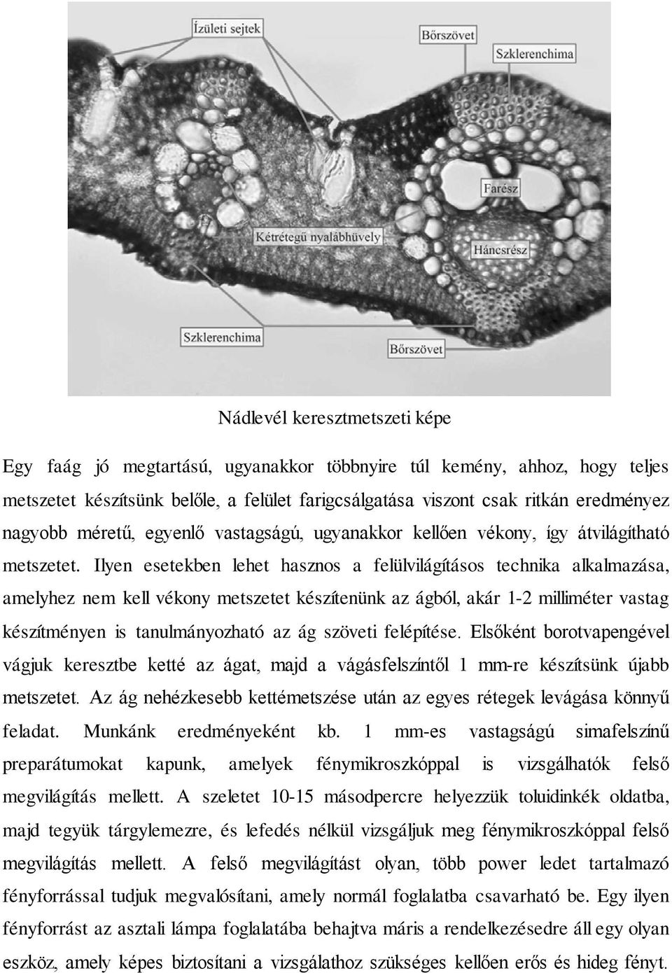 Ilyen esetekben lehet hasznos a felülvilágításos technika alkalmazása, amelyhez nem kell vékony metszetet készítenünk az ágból, akár 1-2 milliméter vastag készítményen is tanulmányozható az ág