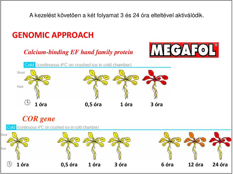 GENOMIC APPROACH Calcium-binding EF hand family