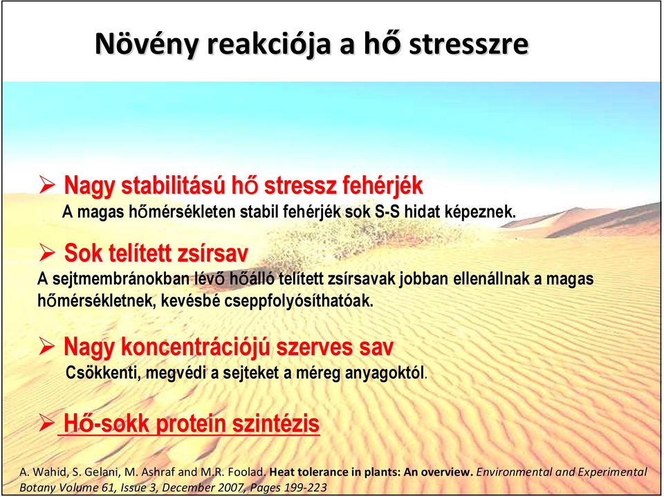 Nagy koncentráci ciójú szerves sav Csökkenti, megvédi a sejteket a méreg anyagoktól. Hı-sokk protein szintézis zis A. Wahid, S. Gelani, M. Ashraf and M.R. Foolad.