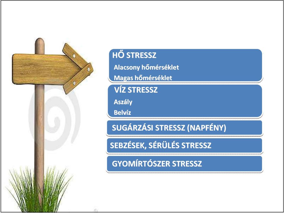 SUGÁRZ RZÁSI STRESSZ (NAPFÉNY) NY) SEBZÉSEK,