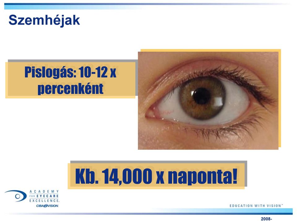 Kb. 14,000 x naponta!