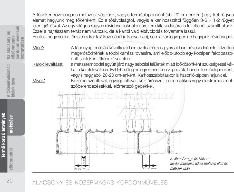 Ezzel a hajtásszám tehát nem változik, de a kartól való eltávolodás folyamata lassul. Fontos, hogy sem a törzs és a kar találkozásánál (a kanyarban), sem a kar legvégén ne hagyjunk rövidcsapot. Miért?