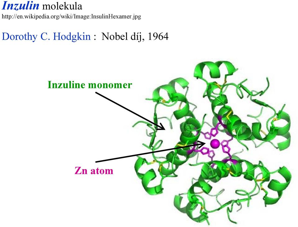 org/wiki/image:insulinhexamer.