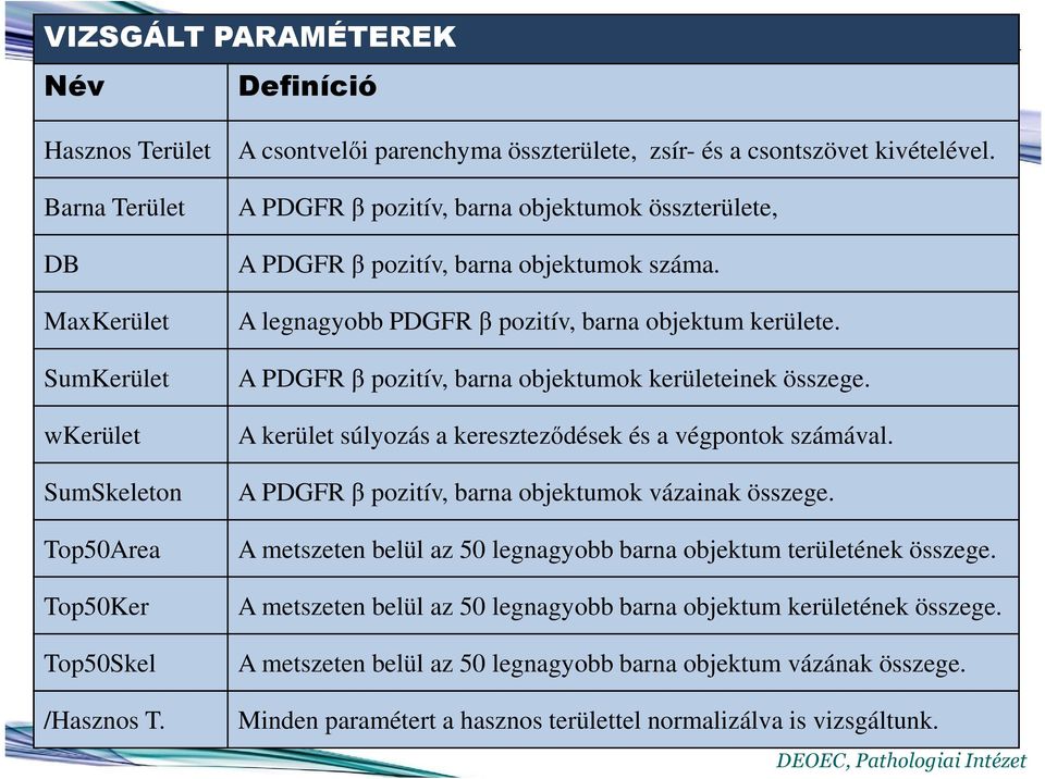 A legnagyobb PDGFR β pozitív, barna objektum kerülete. A PDGFR β pozitív, barna objektumok kerületeinek összege. A kerület súlyozás a kereszteződések és a végpontok számával.