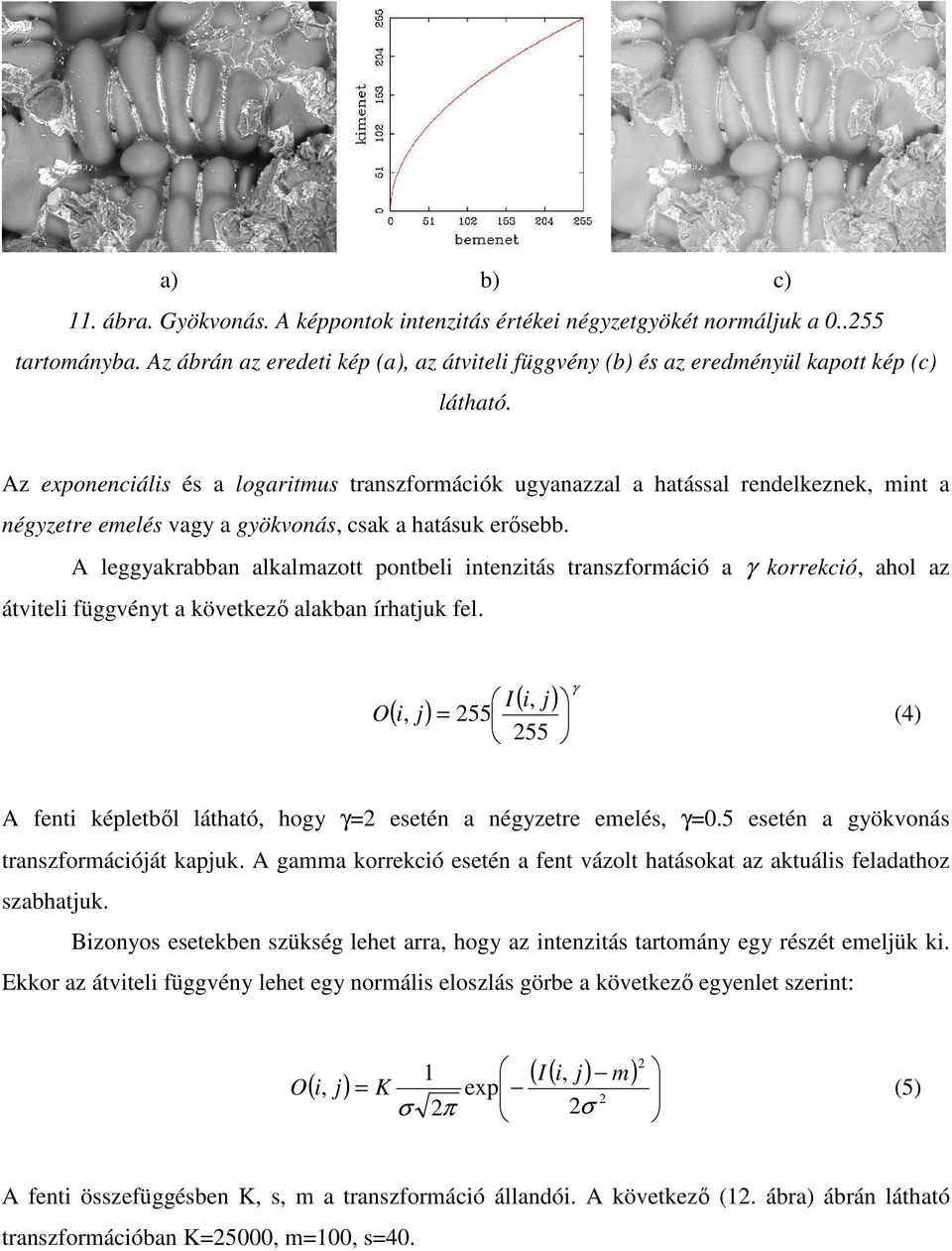 A leggyakrabban alkalmazott pontbeli intenzitás transzformáció a γ korrekció, ahol az átviteli függvényt a következı alakban írhatjuk fel.