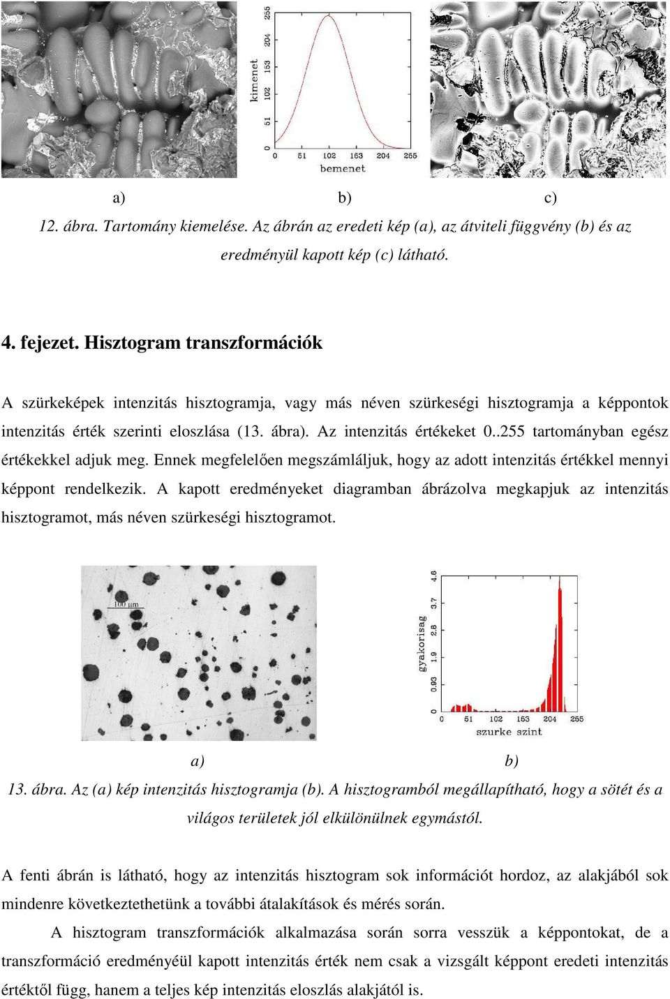 .255 tartományban egész értékekkel adjuk meg. Ennek megfelelıen megszámláljuk, hogy az adott intenzitás értékkel mennyi képpont rendelkezik.