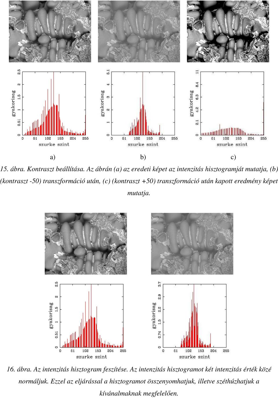 (c) (kontraszt +5) transzformáció után kapott eredmény képet mutatja. 6. ábra.