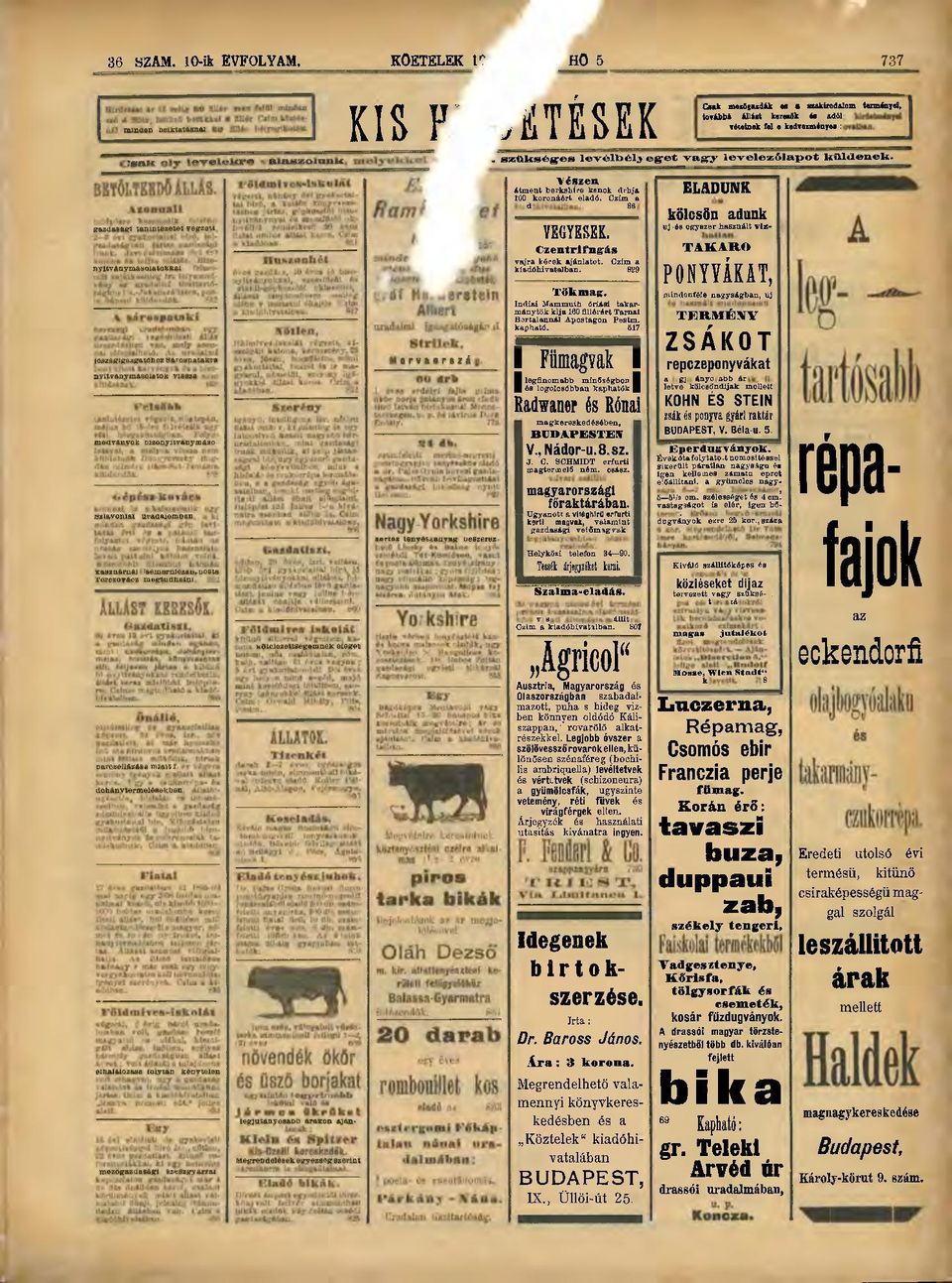 kmdenek. Vészen. átment berkshíre kanok drbja ELADUNK 100 ^koronáért eladő. Czirn^a kölcsön adunk uj -és egyszer használt vlí- VEGYESEK, C z e n t r i f n g á s T A K A R Ó vajra kérek ajánlatot.