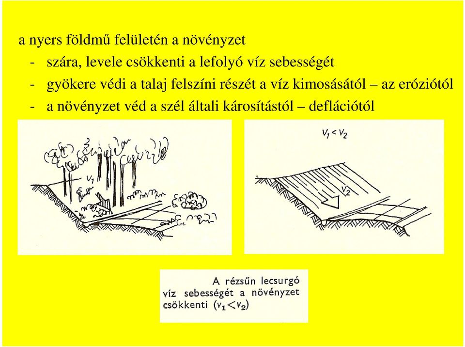 talaj felszíni részét a víz kimosásától az eróziótól