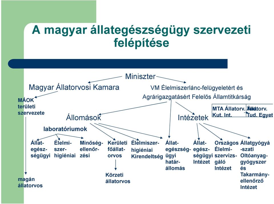 magán állatorvos Állategészségügyi Élelmiszerhigiéniai Minőségellenőrzési Körzeti állatorvos Kerületi főállatorvos Élelmiszerhigiéniai