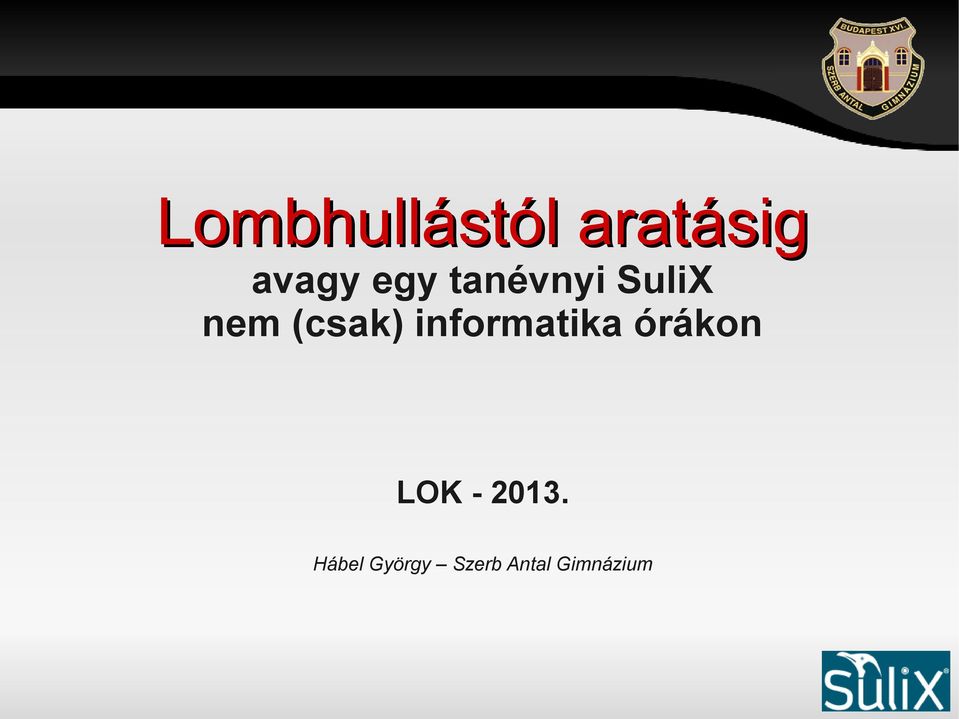 informatika órákon LOK - 2013.