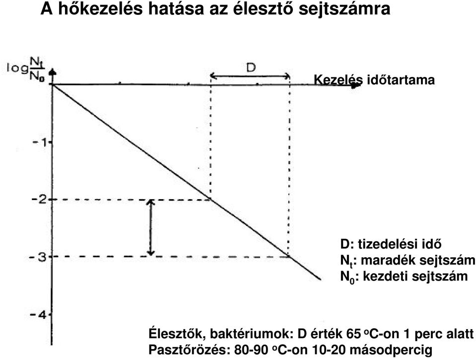 : kezdeti sejtszám Élesztők, baktériumok: D érték 65 o