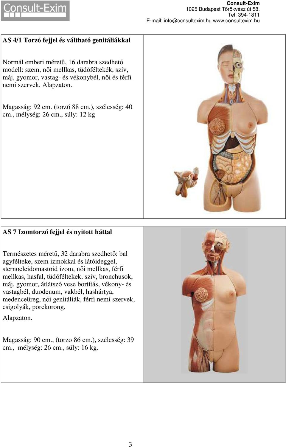 , súly: 12 kg AS 7 Izomtorzó fejjel és nyitott háttal Természetes méretű, 32 darabra szedhető: bal agyfélteke, szem izmokkal és látóideggel, sternocleidomastoid izom, női mellkas, férfi