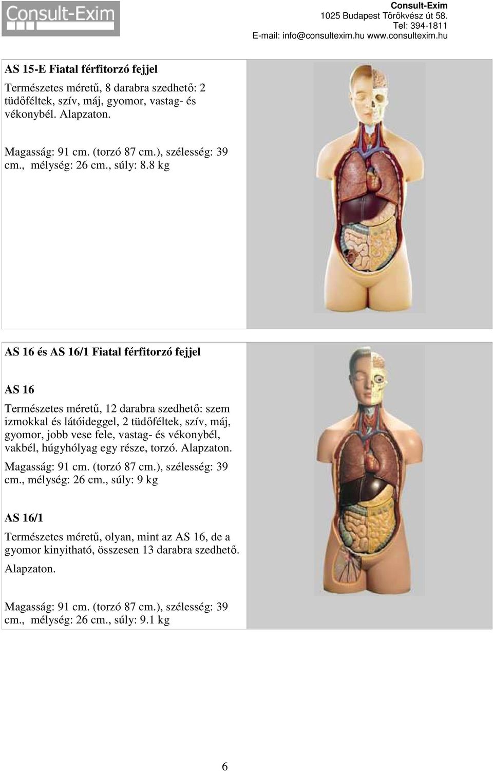 8 kg AS 16 és AS 16/1 Fiatal férfitorzó fejjel AS 16 Természetes méretű, 12 darabra szedhető: szem izmokkal és látóideggel, 2 tüdőféltek, szív, máj, gyomor, jobb vese fele, vastag- és